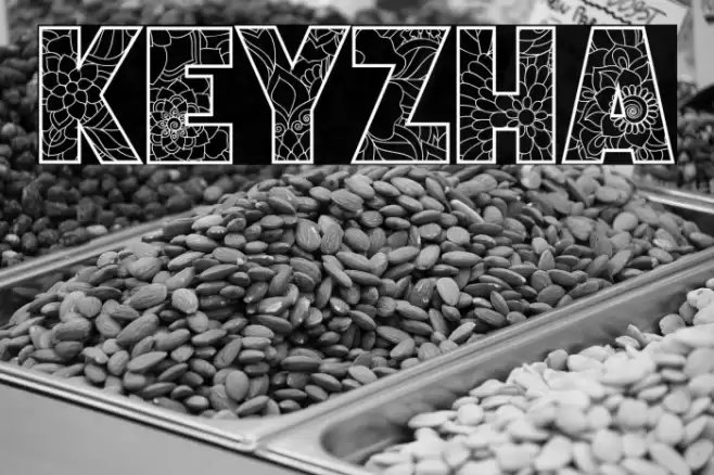 KEYZHA フォント examples