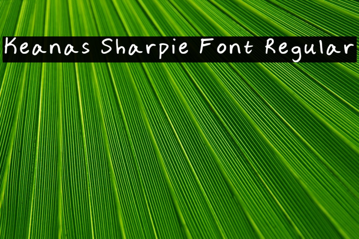 Keanas Sharpie Font Regular Caratteri examples