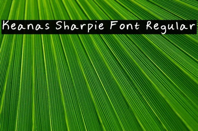 Keanas Sharpie Font Regular Example 1
