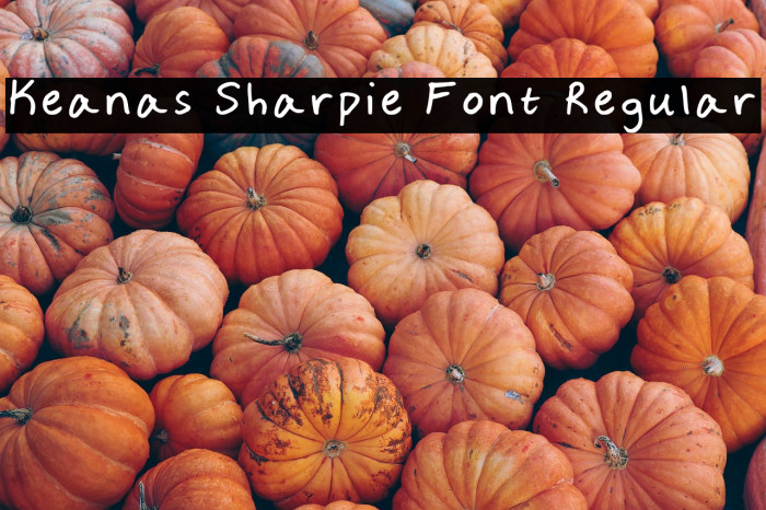 Keanas Sharpie Font Regular Caratteri examples