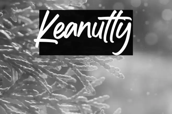 Keanutty Font examples