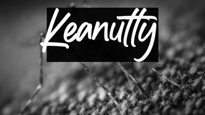 Keanutty Font examples