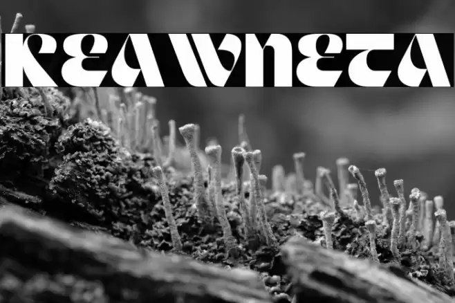 Keawneta Font examples