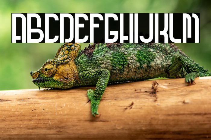 Kebo Irengku Example 1