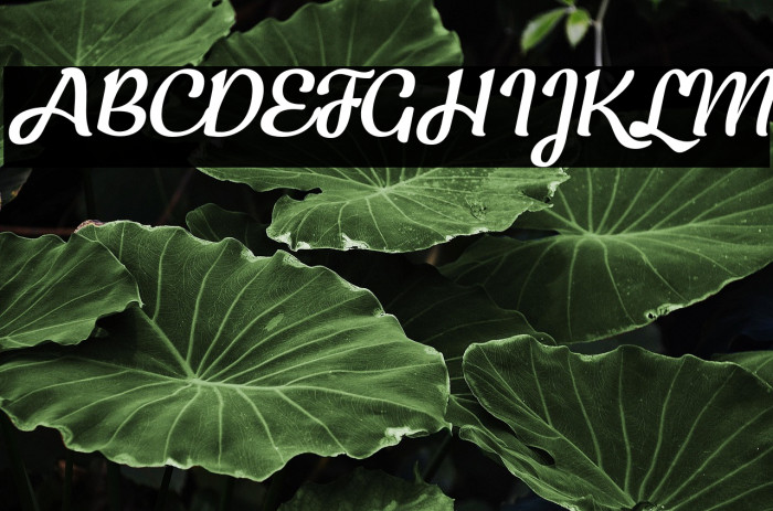 KecapPersonalUse-Italic Example 2