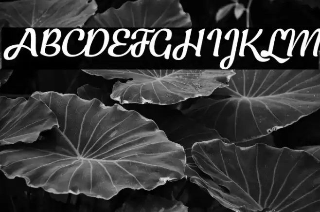 KecapPersonalUse-Italic Font examples