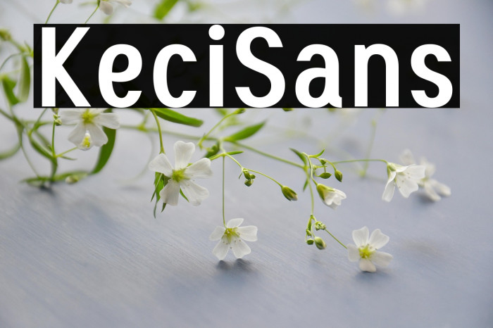 Keci Sans Example 2