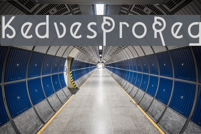 KedvesProReg Font examples