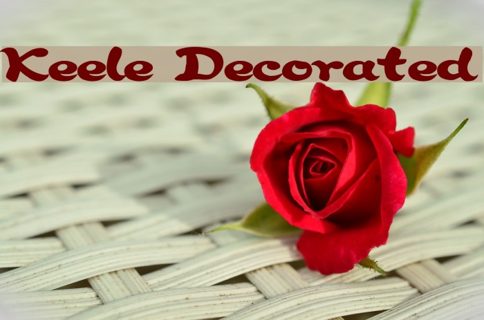 Keele Decorated Example 2