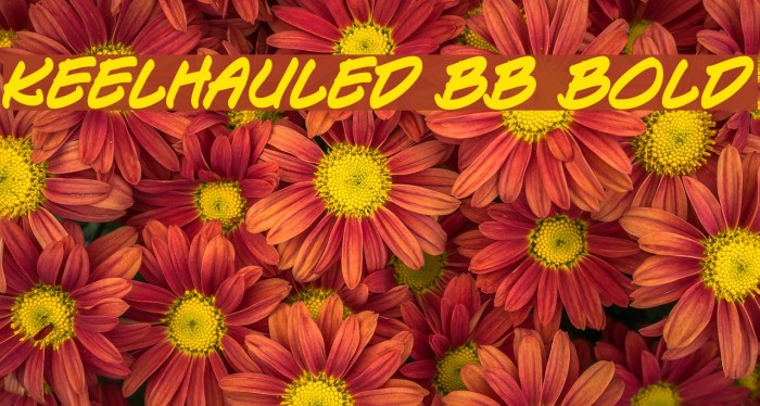 Keelhauled BB Bold Font examples