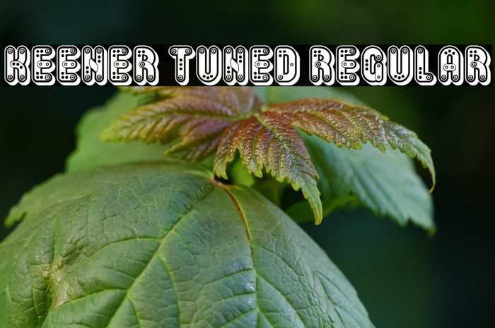 Keener Tuned Regular Example 3