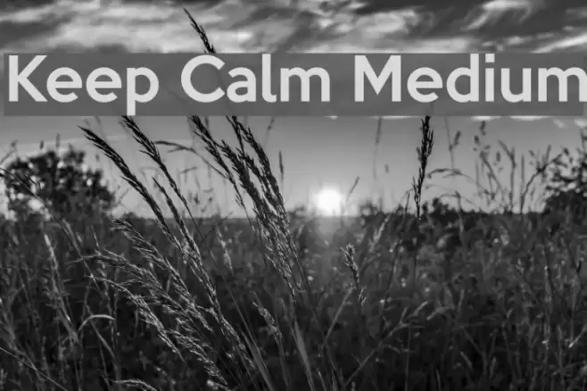 Keep Calm Medium Font examples