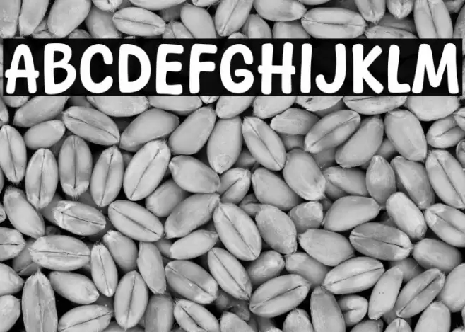 Keep Cheese Polices examples