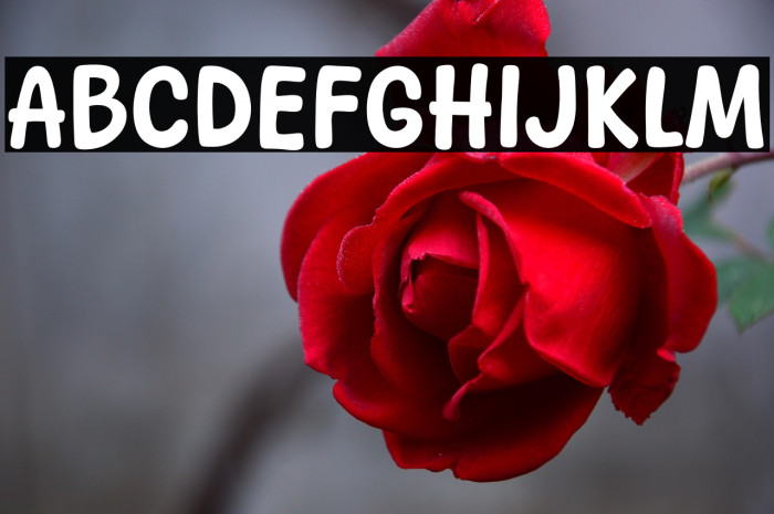 Keep Cheese Example 3