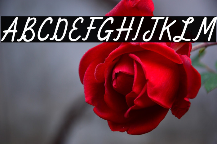 Keep Going Example 3