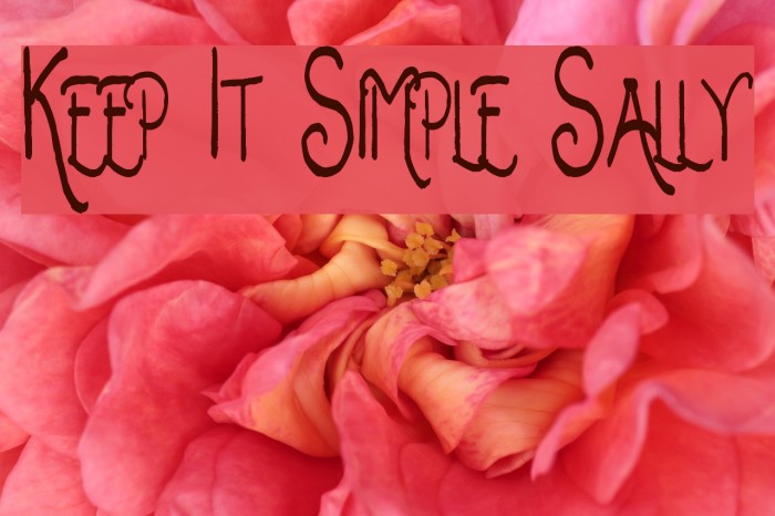 Keep It Simple Sally Fonte examples