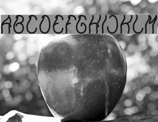 Keep Quite and Simple-Light Font examples