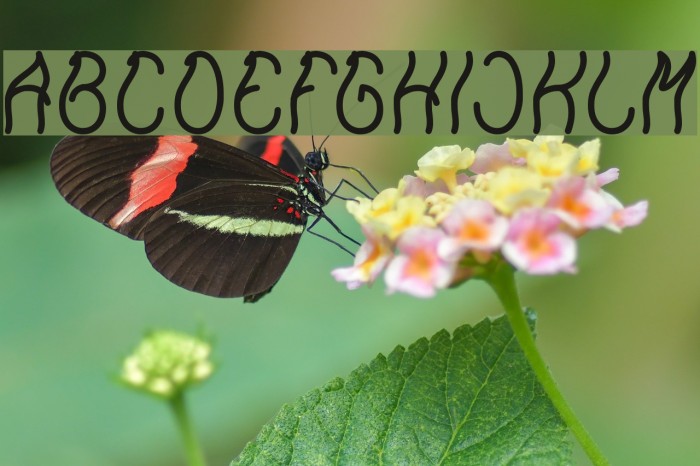 Keep Quite and Simple-Light Example 2