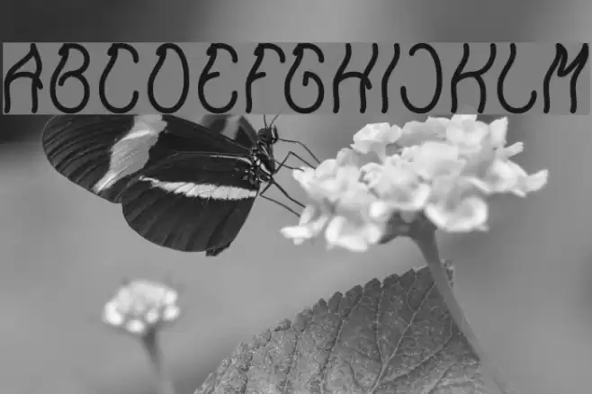 Keep Quite and Simple-Light Font examples