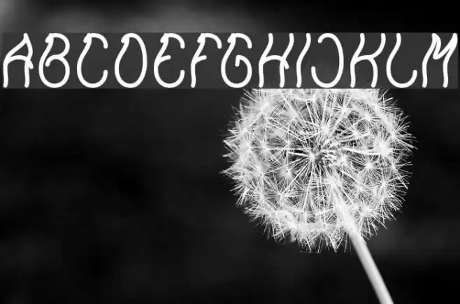 Keep Quite and Simple-Light Font examples