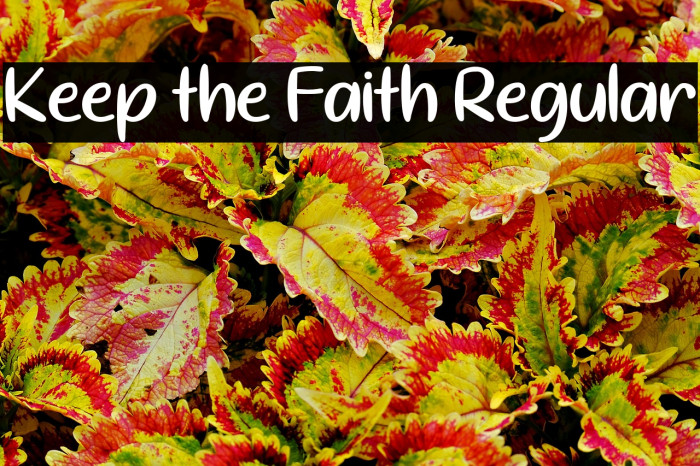 Keep the Faith Regular Example 1