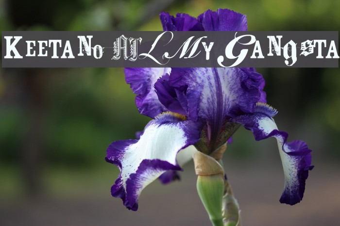 Keetano ATL My Gangsta Font examples