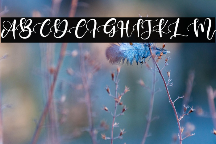 Keffie Austina Example 1