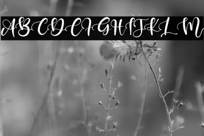 Keffie Austina Font examples