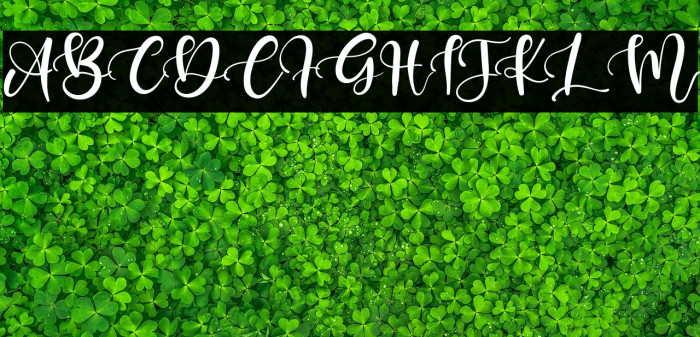 Keffie Austina Example 2