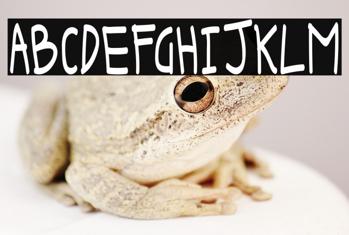 Keira Dreamer DEMO Sans Example 1