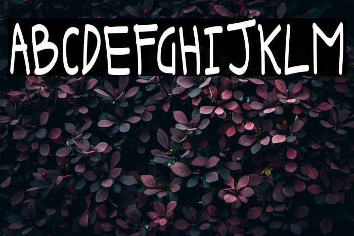 Keira Dreamer DEMO Sans Example 2