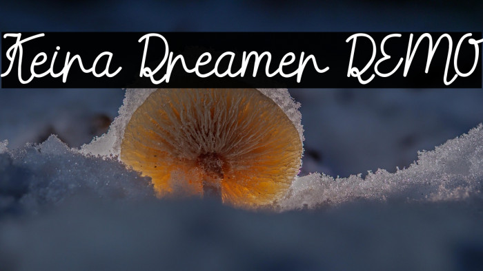 Keira Dreamer DEMO Example 1