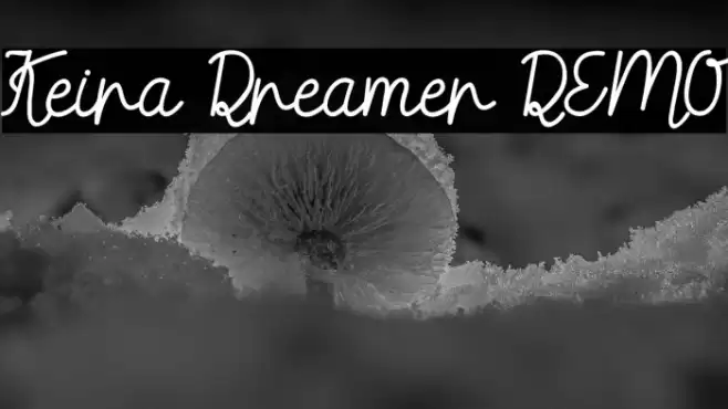 Keira Dreamer DEMO Font examples