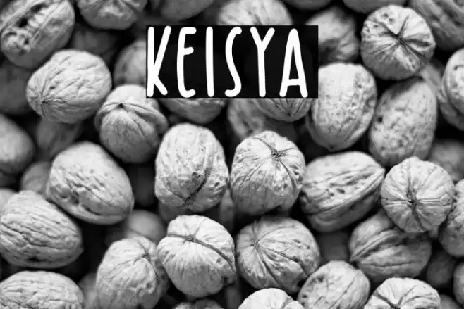 Keisya Font examples