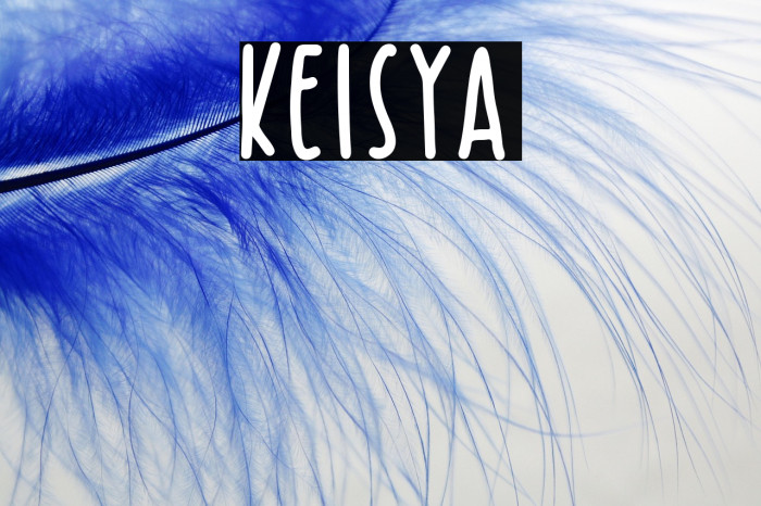 Keisya Example 2