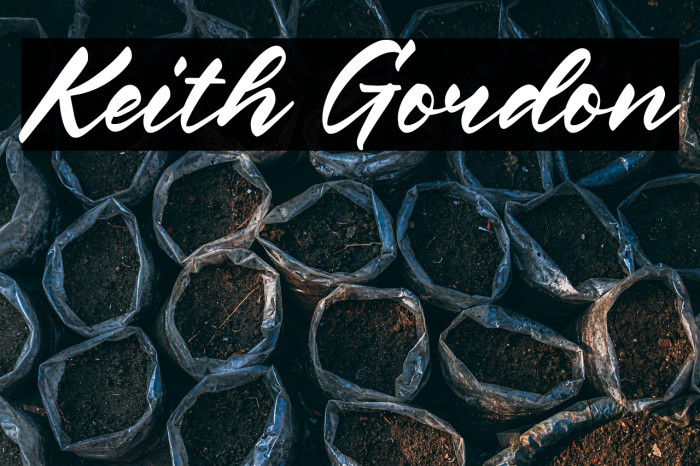 Keith Gordon Example 3