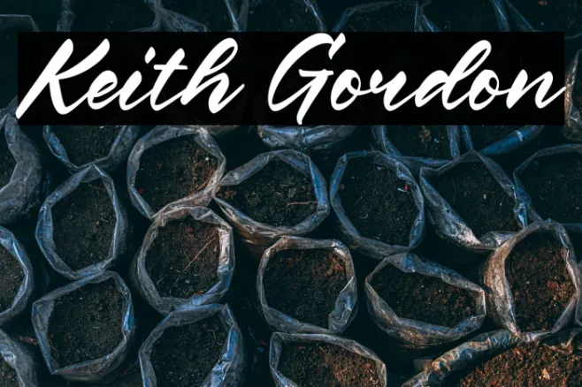 Keith Gordon Example 3
