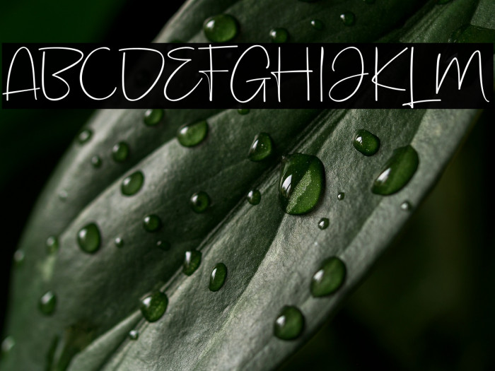 KeithFREEPERSONALUSE Example 1