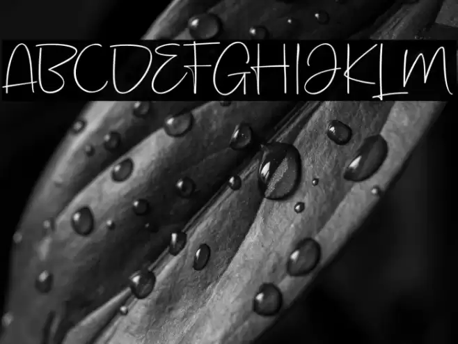 KeithFREEPERSONALUSE フォント examples