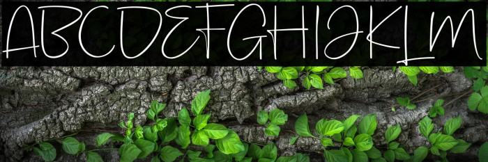 KeithFREEPERSONALUSE Example 2