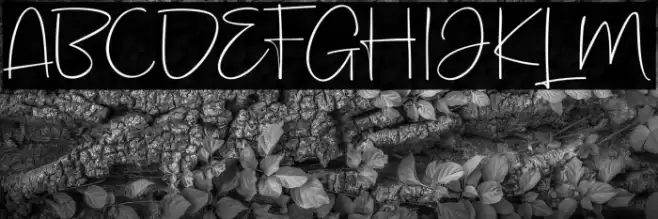 KeithFREEPERSONALUSE フォント examples