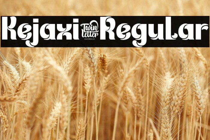 Kejaxi-Regular Example 1