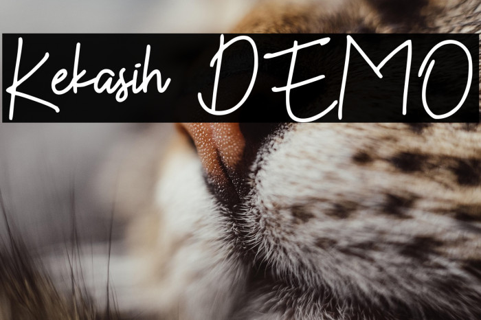 Kekasih DEMO Example 1