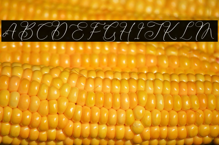 Kelarhisa Sokrate Example 3