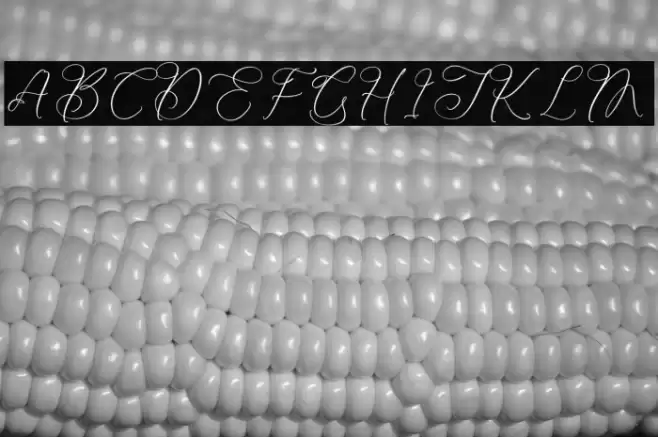 Kelarhisa Sokrate 字体 examples