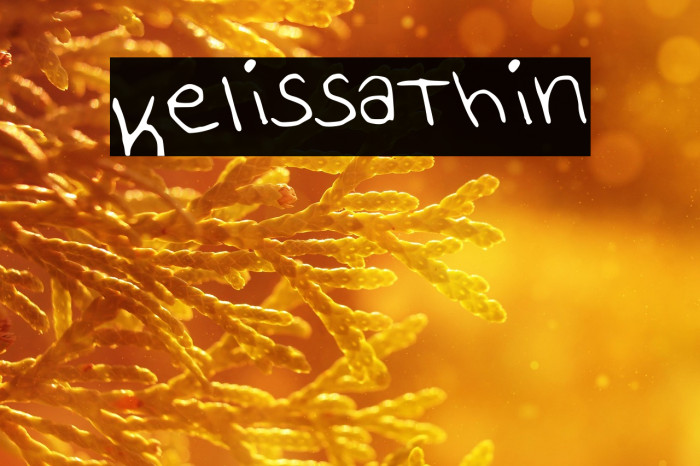 KelissaThin Example 2