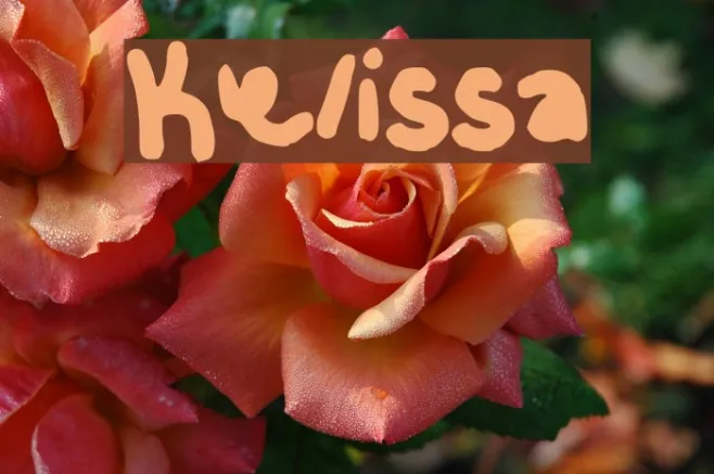 Kelissa Example 2