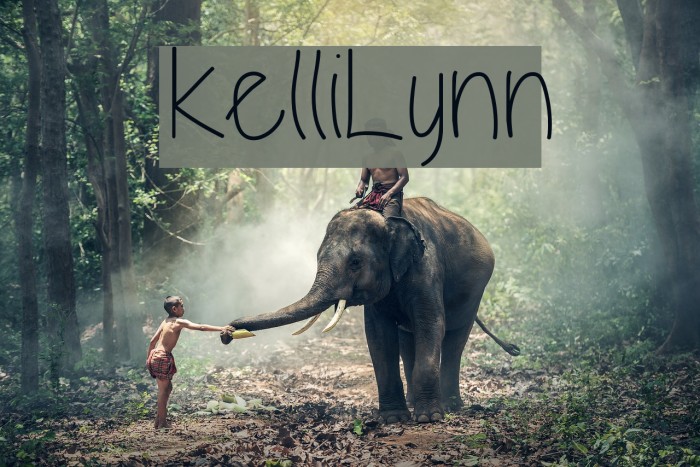 KelliLynn Font examples