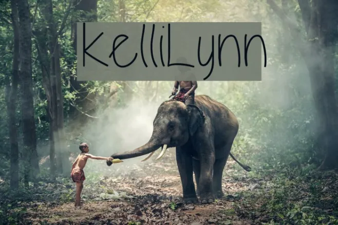 KelliLynn Example 2