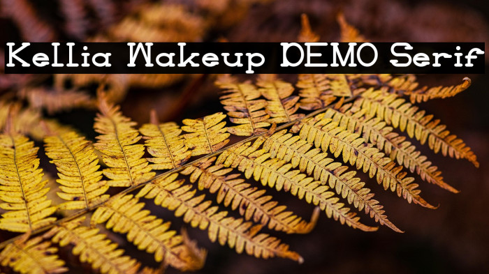 Kellia Wakeup DEMO Serif Example 1